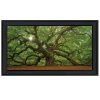 "Mighty Tree" By Moises Levy, Ready to Hang Framed Print, Black Frame